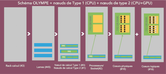 nœuds de type cpu